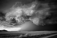 Mitch Dobrowner